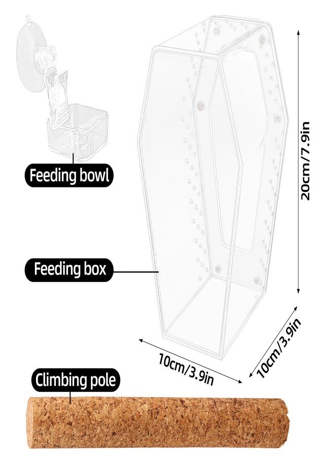 Dmnnlp Jumping Spider Enclosure, Magnetic Door Acrylic Terrarium with Feeding Dish & Landscape Stick for Tarantula Snails Insects Reptiles Plants, Coffin Shape Tabletop Decor 4" x 4" x 8" - Image 2